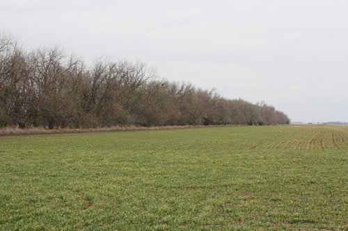 Property photo 27 - Kansas Land Auction - 960 Acres - 7 Farms in 3 Counties